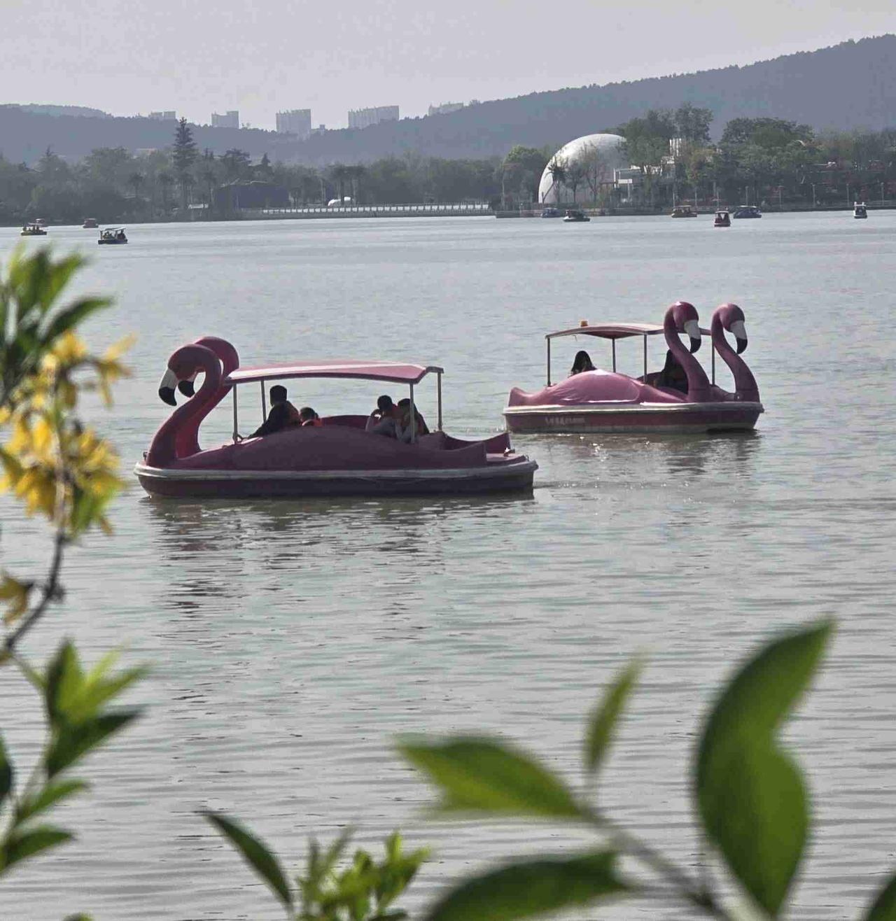 带定位晒今日生活 带定位晒今日生活 今天状态那叫一个轻松惬意，天气如同热情的小太