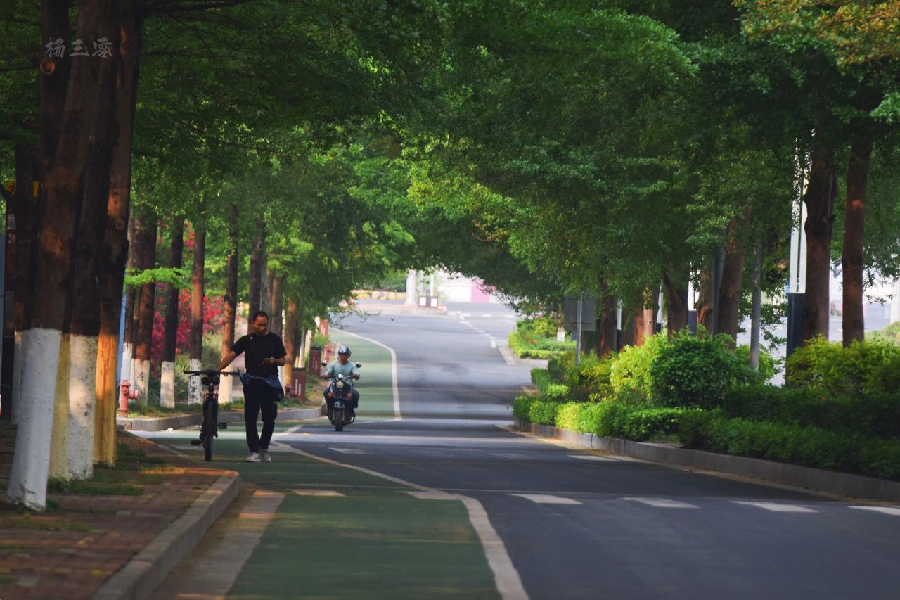 你敢相信吗，这居然是贵港园博园？以前咋没发现这么美！城市风景 贵港 园博园