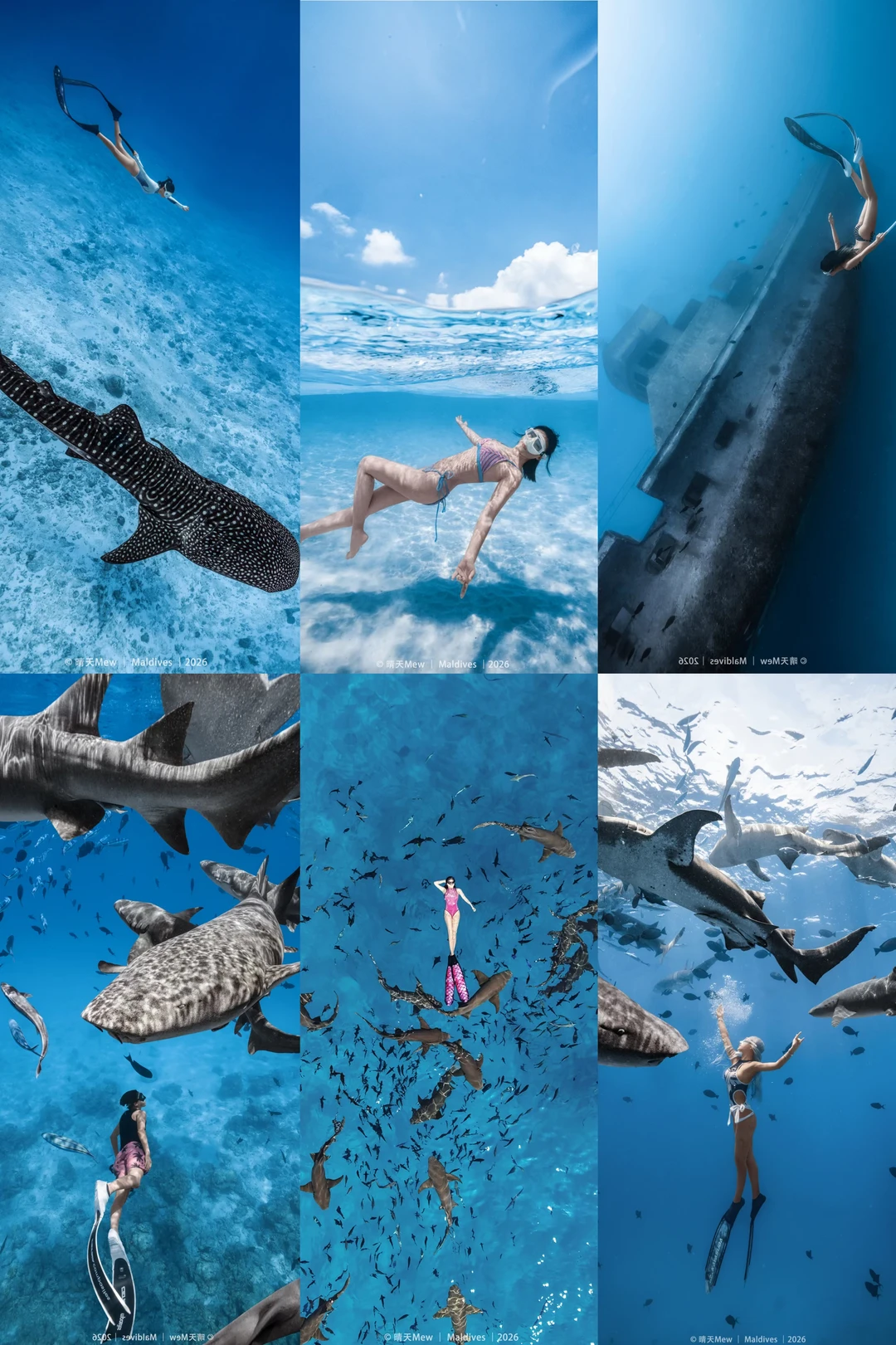 🌊 马尔代夫｜潜入这片果冻海，我拍到了人生