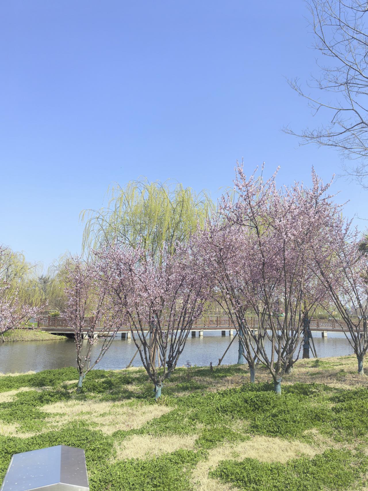 A股今天冲高回落，再次迎来4500家个股大跌，两市缩量2362亿，总成交量跌破2