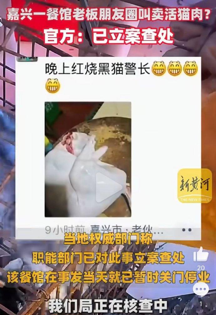 嘉兴售卖猫肉餐馆已被立案调查嘉兴涉事餐馆售卖猫肉引发热议，本质是传统陋习与现代文