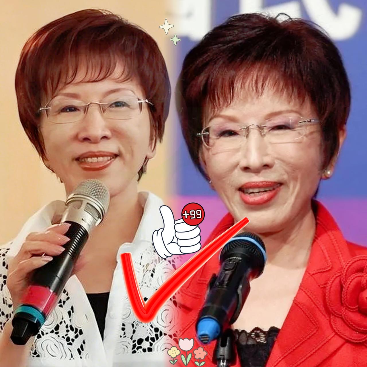 惊！

民进党竟要对付洪秀柱
声称她违法，可真是荒唐至极！
洪秀柱赴北京参加“九