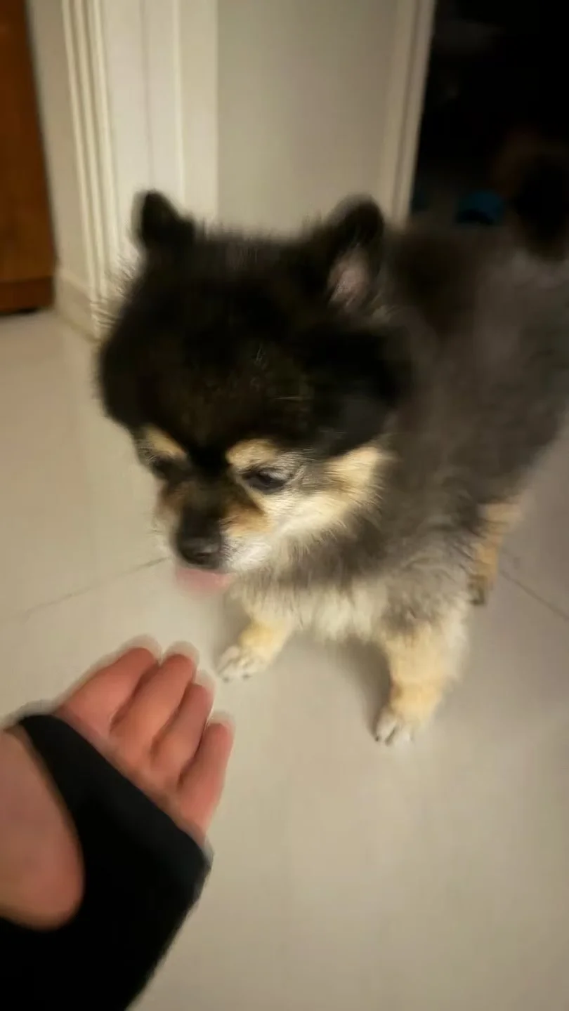 小不点～