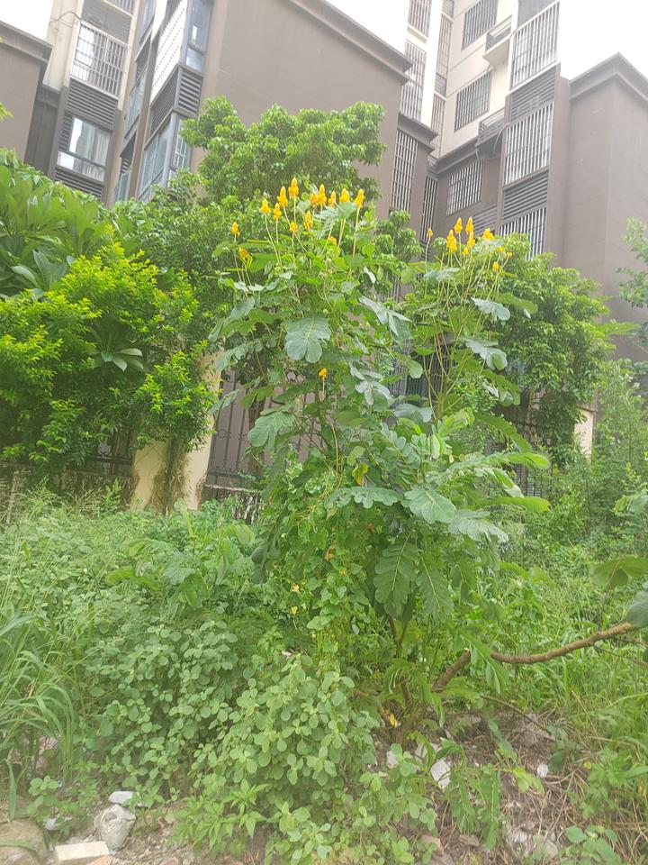 今日的生活到底怎么过才算美好呢？
       今日的生活怎么过才美好，我觉得没