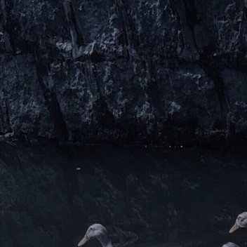 1400没有什么可以拒绝不竭的汗水，更没有什么可以取代梦想的光芒。积极乐观、不畏