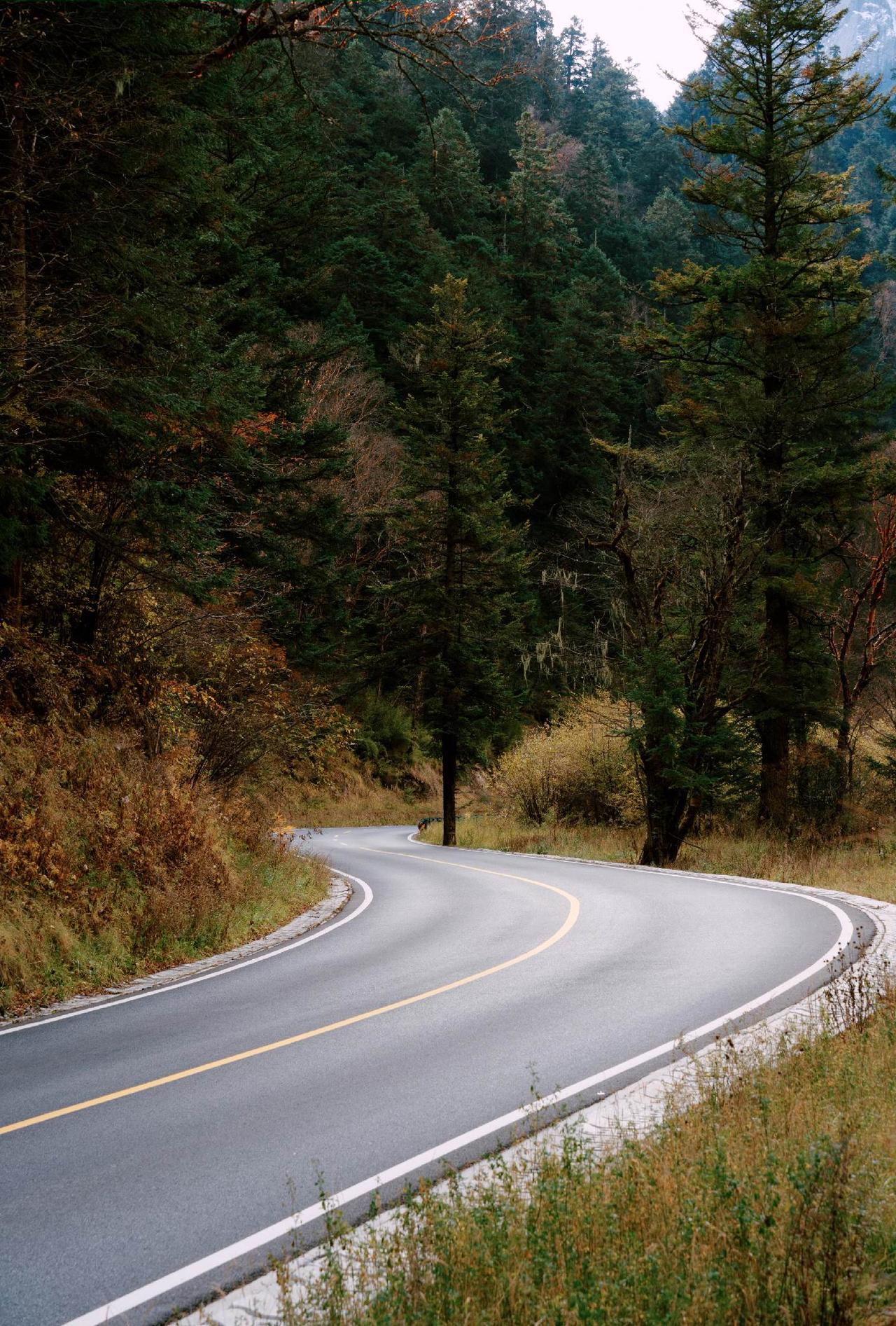 这片山谷像是被按下了暂停键的仙境，冷峻的雪山和幽深的森林守护着这片还带着秋意的湿