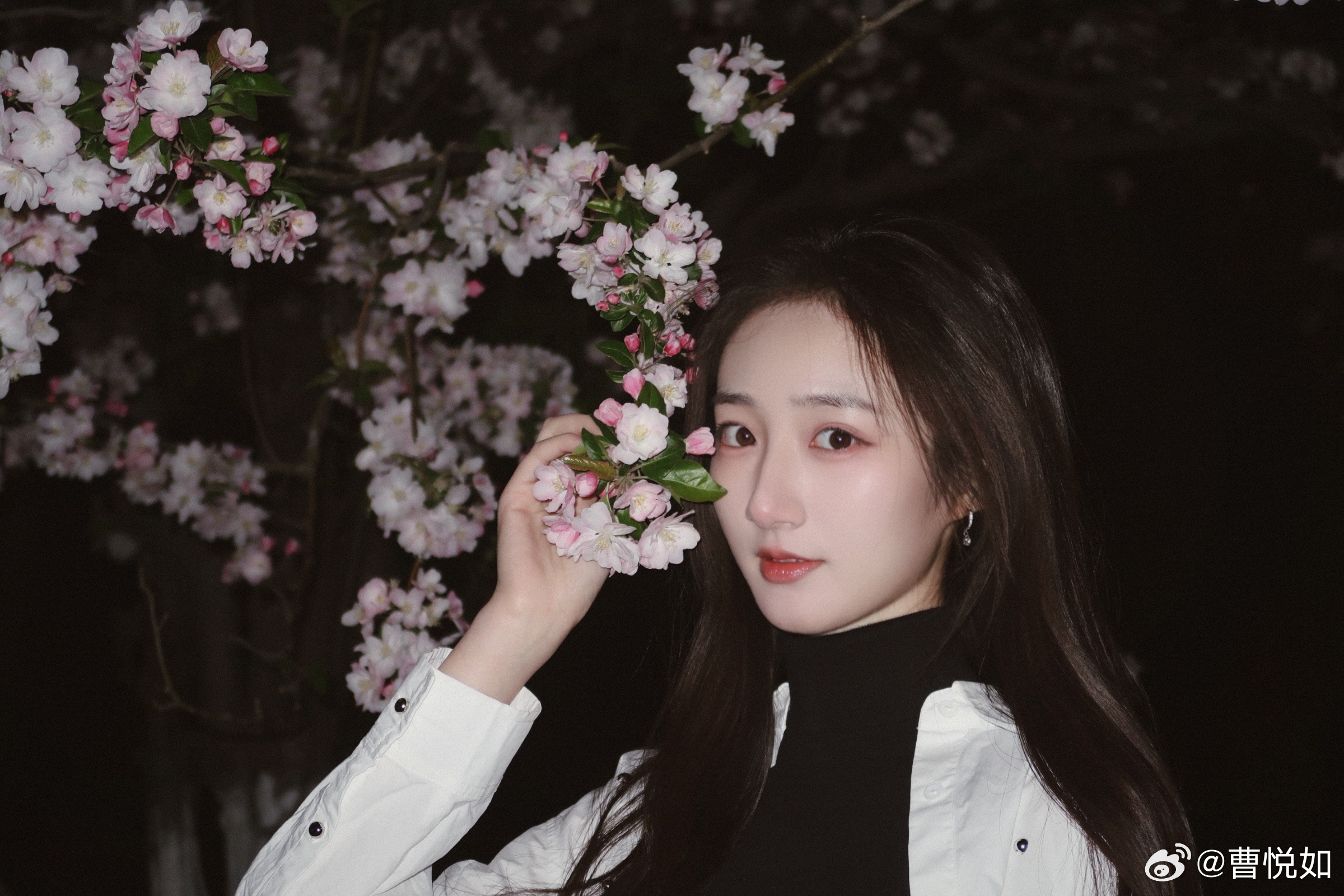 海棠花未眠你好春天如悦而至  ​​​