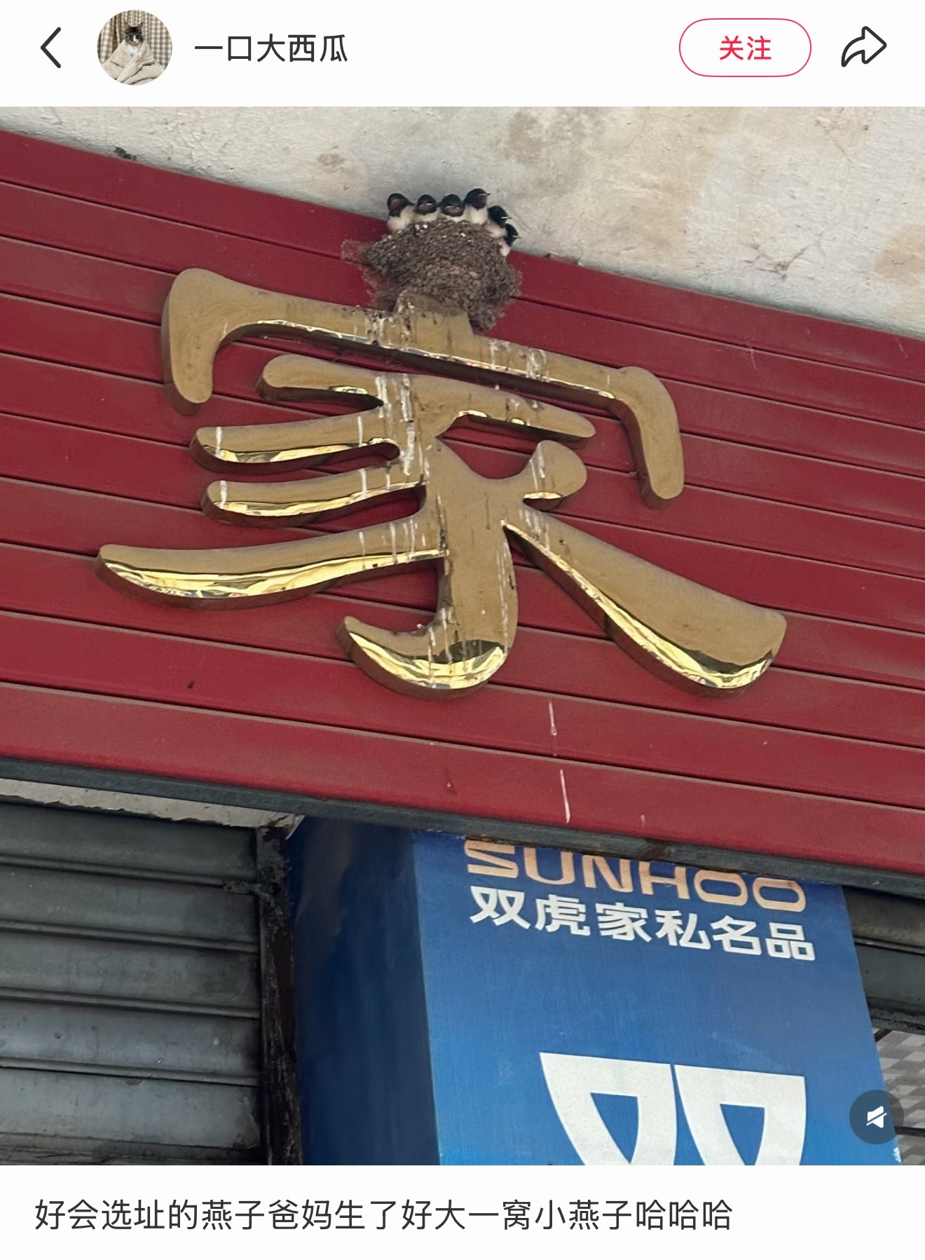 很有意思 