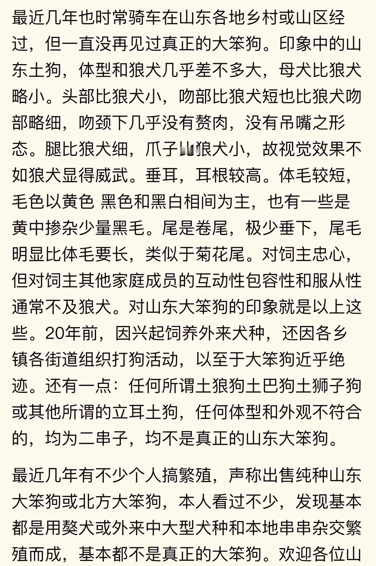 这位网友回忆描述了当年他见过的山东笨狗的模样。或许各地的土狗笨狗头版骨架稍有不同
