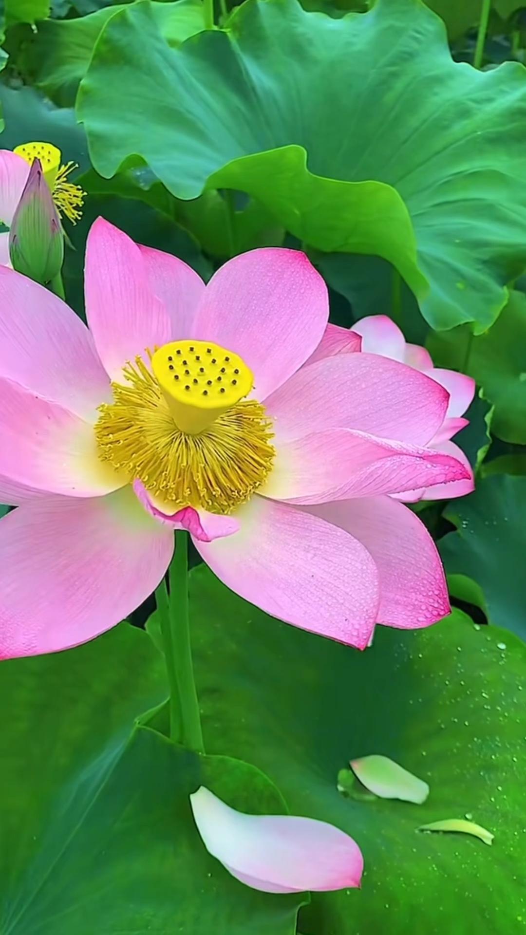 


一把椅子搞定下肢训练 ，专治“办公臀”和“大象腿”！| 运动是良医