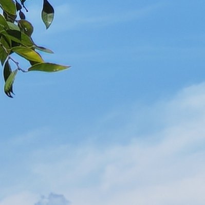 每日一善阳光信用 每日一善 一粒尘埃，在空气中凝结，最后生成磅礴的风雨；一粒沙石