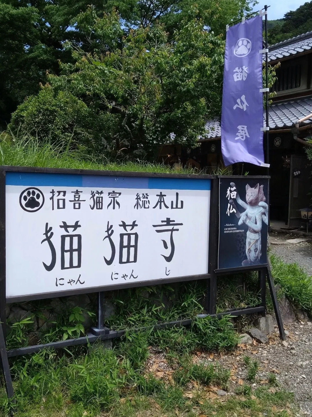 京都，怎么没人推荐这个
