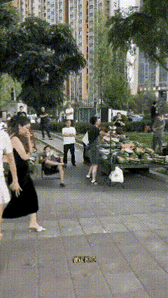 对直播冷嘲热讽的人，请给他们指一条明路。