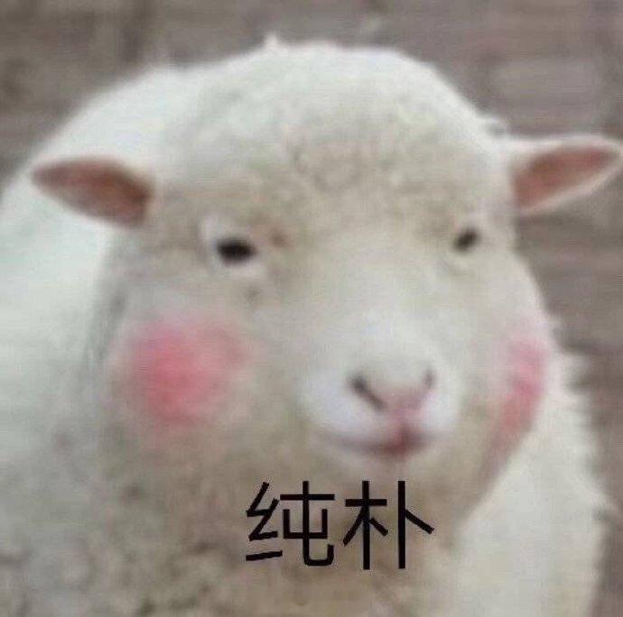 问你们一个事儿哦～楼上住着一户总是制造噪音的邻居…有一次你忍无可忍在业主群里提醒