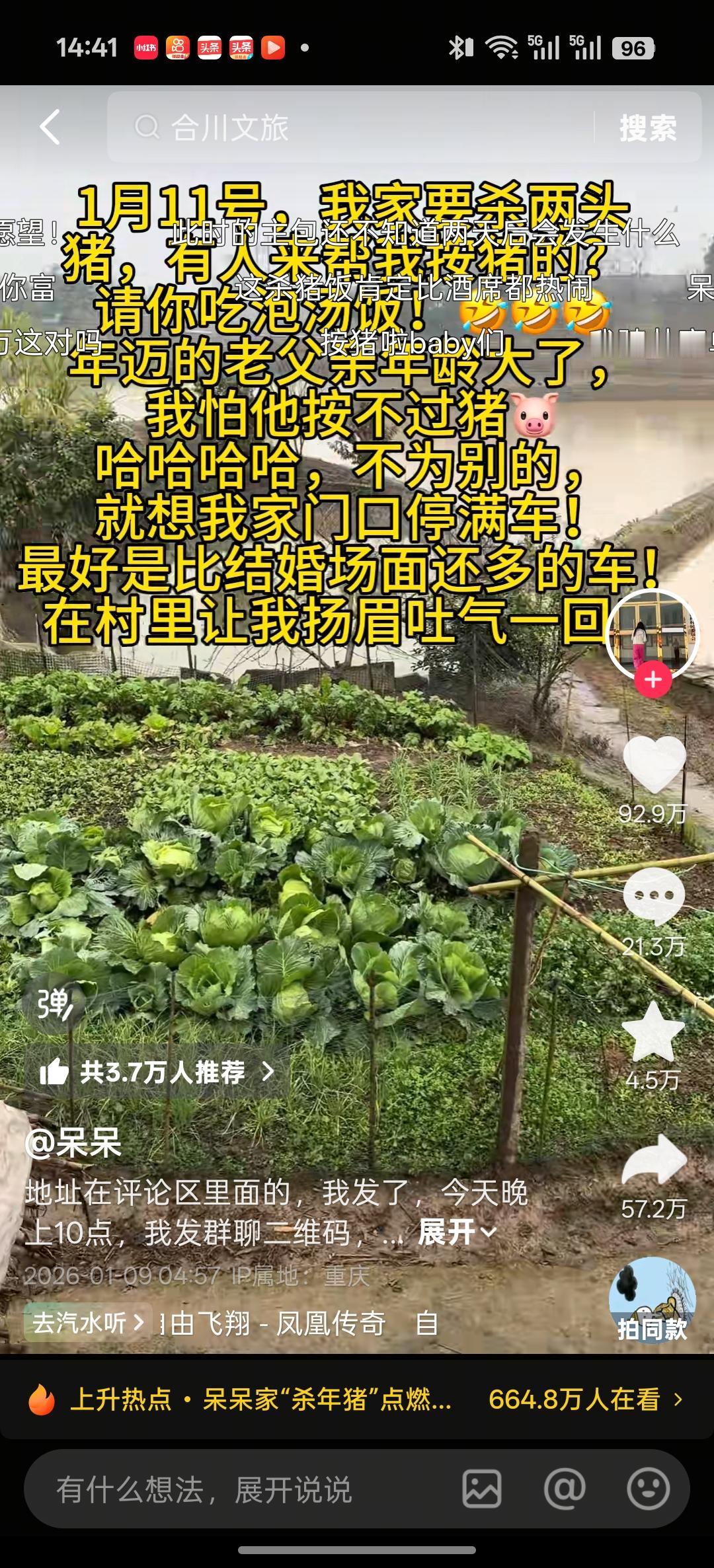 强烈建议→合川文旅局规定以后每年的1.11日定为合川杀猪节，正好3个1合一起就是