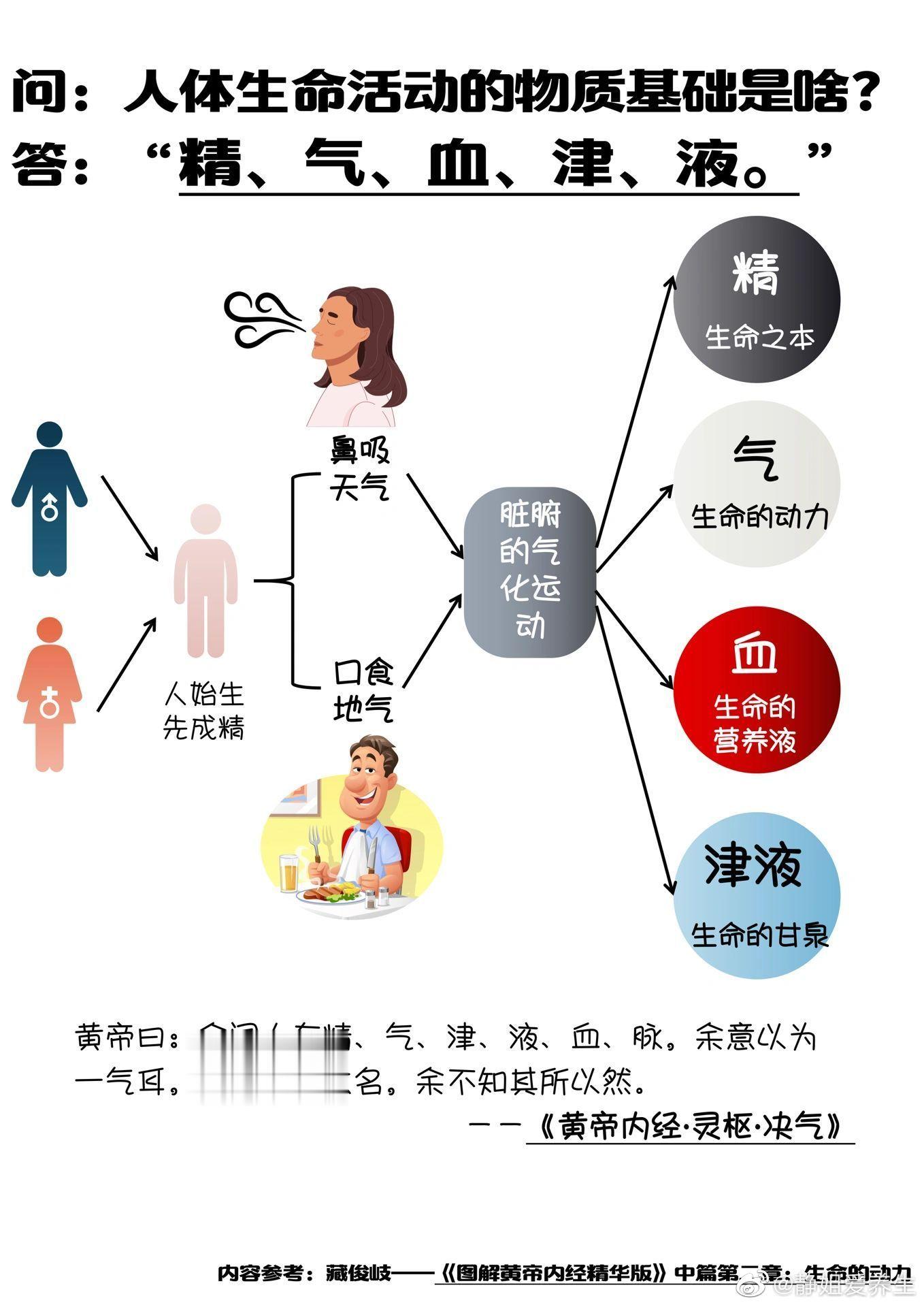精、气、血液、津液，皆是人体生命活动的基本物质。不仅这些基本营养供给要充足，它们