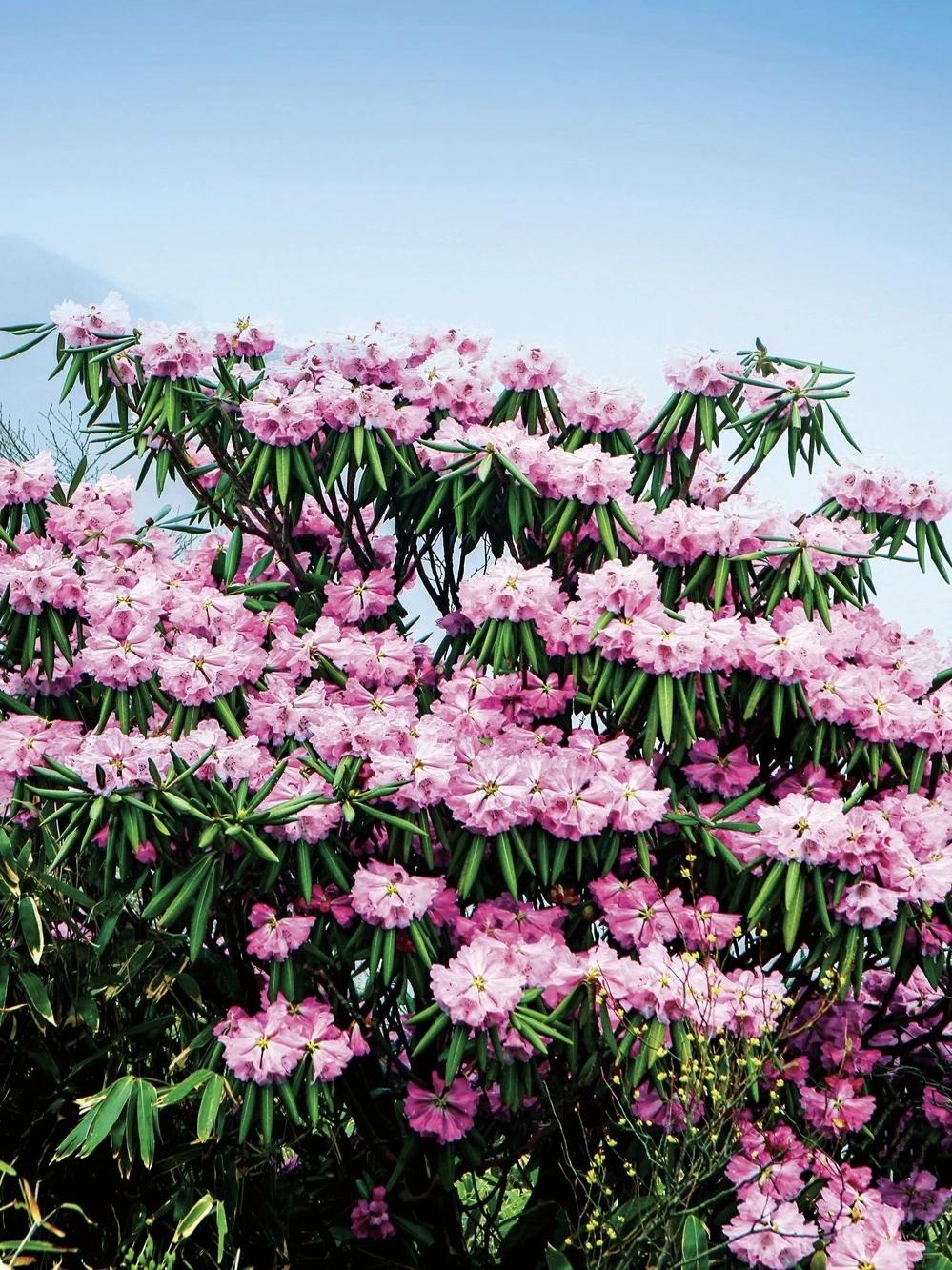 【】完成，是比完美更强大的生产力；允许失败，允许不完美，大胆地行动，就已经是一个