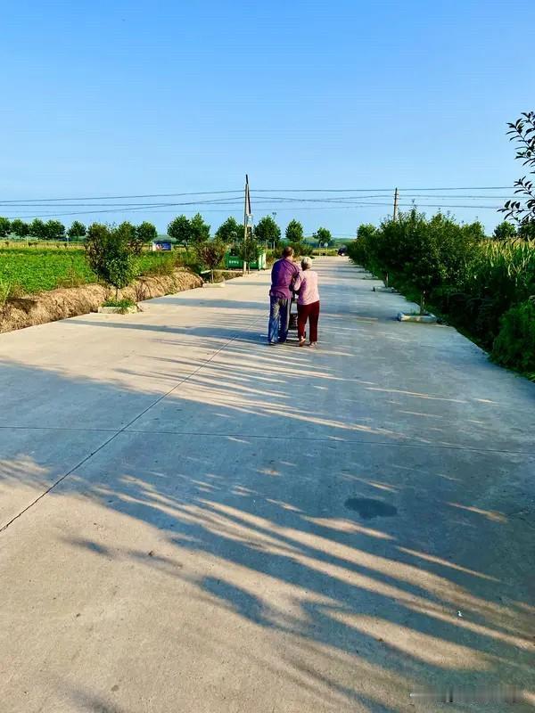 父母老了，需要儿女的陪伴和照顾，就像孩子一样，他们的行动能力和辨别能力都一天不如