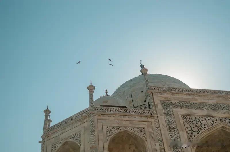 印度拟巨资买114架阵风有何考量 印度拟花358亿美元买114架“阵风”战机，这