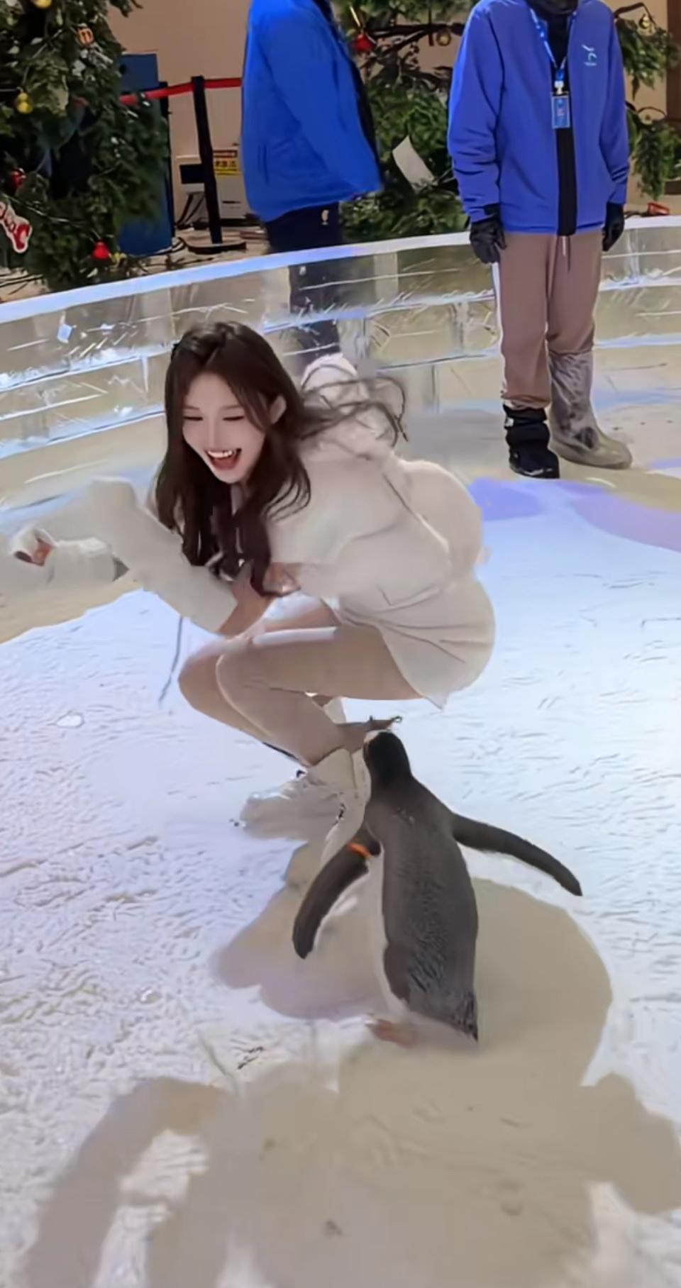 🐧企鹅萌趣互动，欢乐无限！踏入这片银装素裹的冰雪世界，仿佛进入了一个梦幻王国。