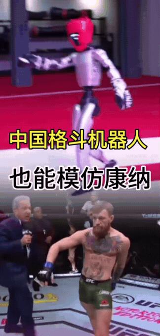 格斗机器人不是来抢饭碗，而是把饭碗砸碎再递给我们一块更烫手的铁。

白大拿的梦话