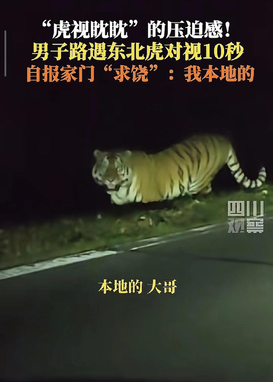 “本地的，大哥！”吉林一姑娘晚上打车回家，走到半道儿，司机突然一个急刹，车停在了