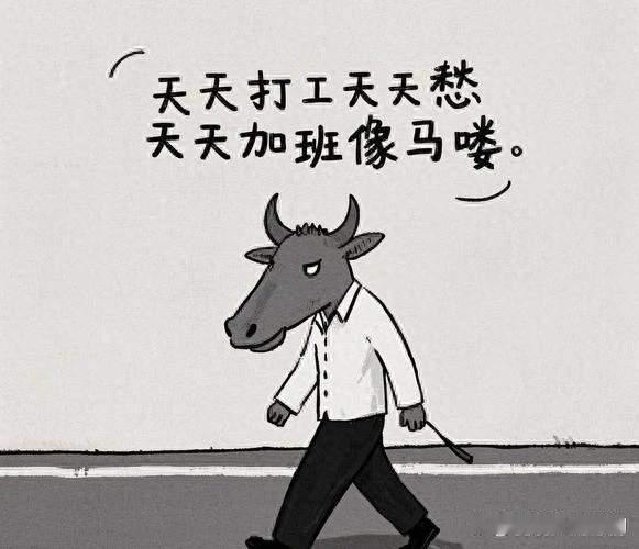 老板愿付八万八彩礼，00后员工婉拒：知足之心最珍贵