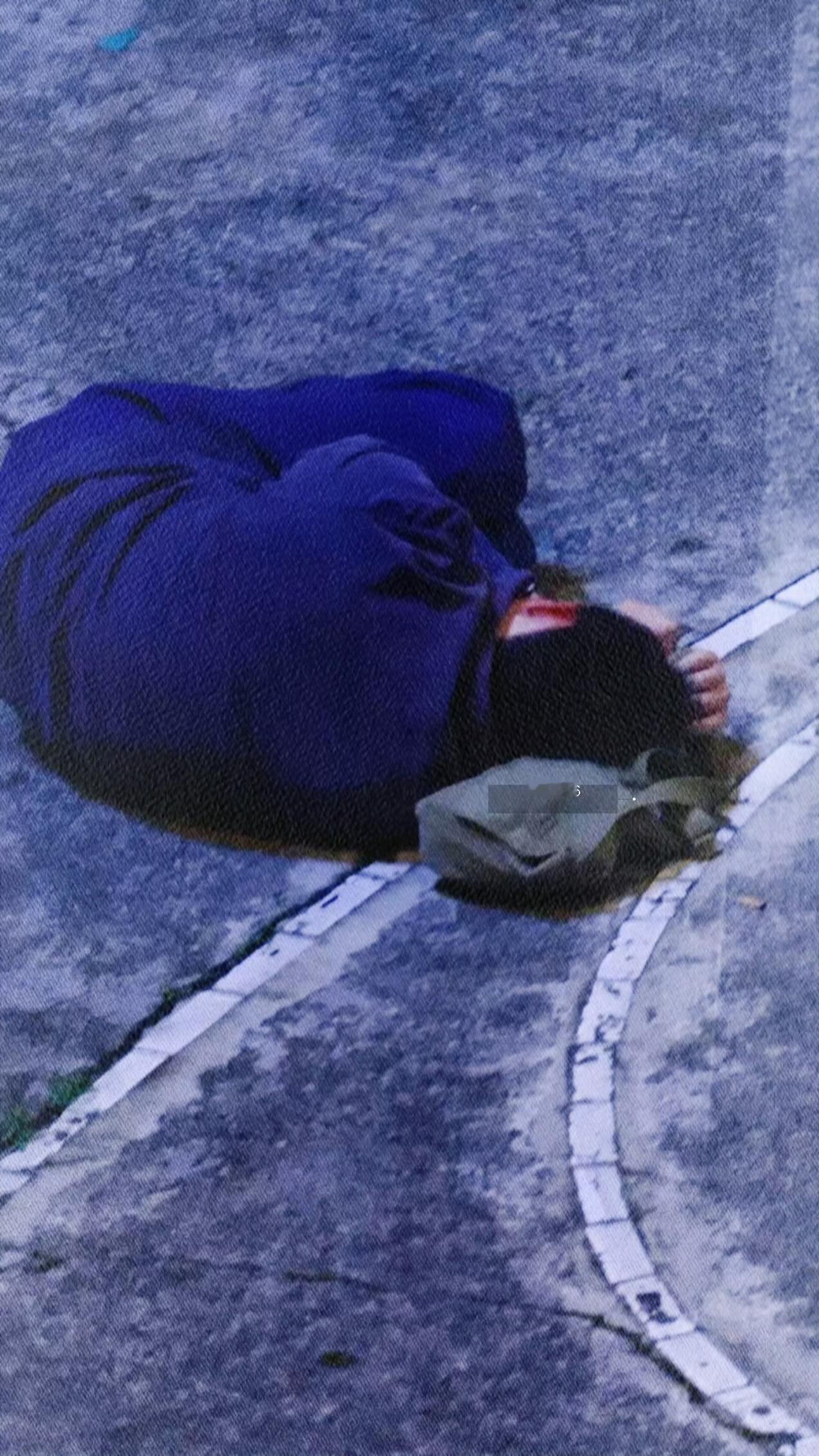 第一集就被打晕了呀我捡走了这个小粽子太可爱了吧 