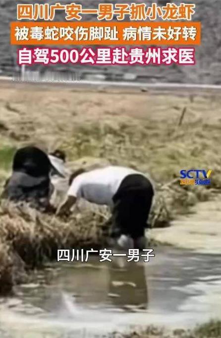 悲剧还是发生了！四川广安，一名男子深夜私自前往水田捕捉小龙虾，没抓到几个，反倒惨