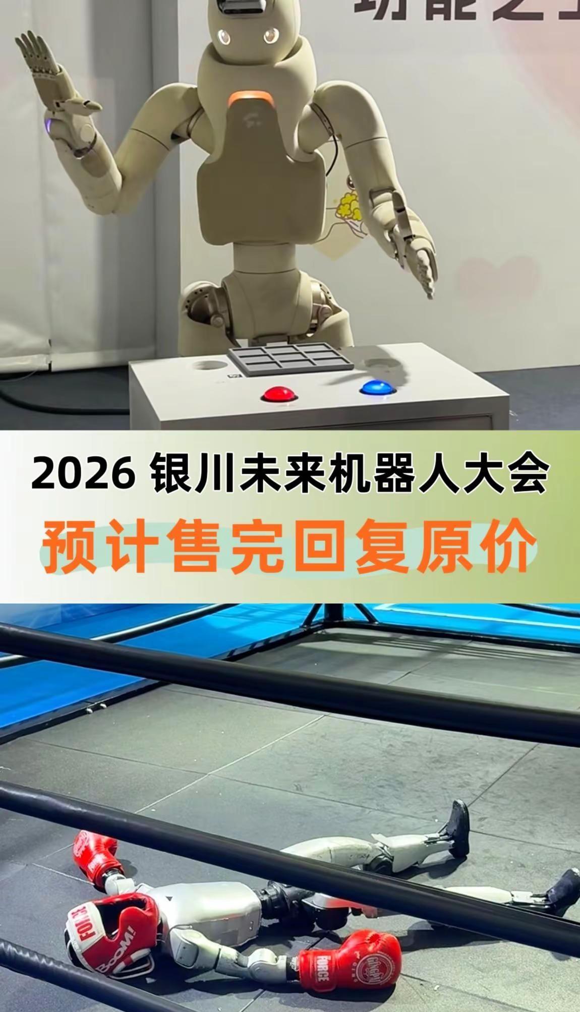 2026 银川未来机器人大会。2026银川未来机器人大会 机器人亮相 国产机器人