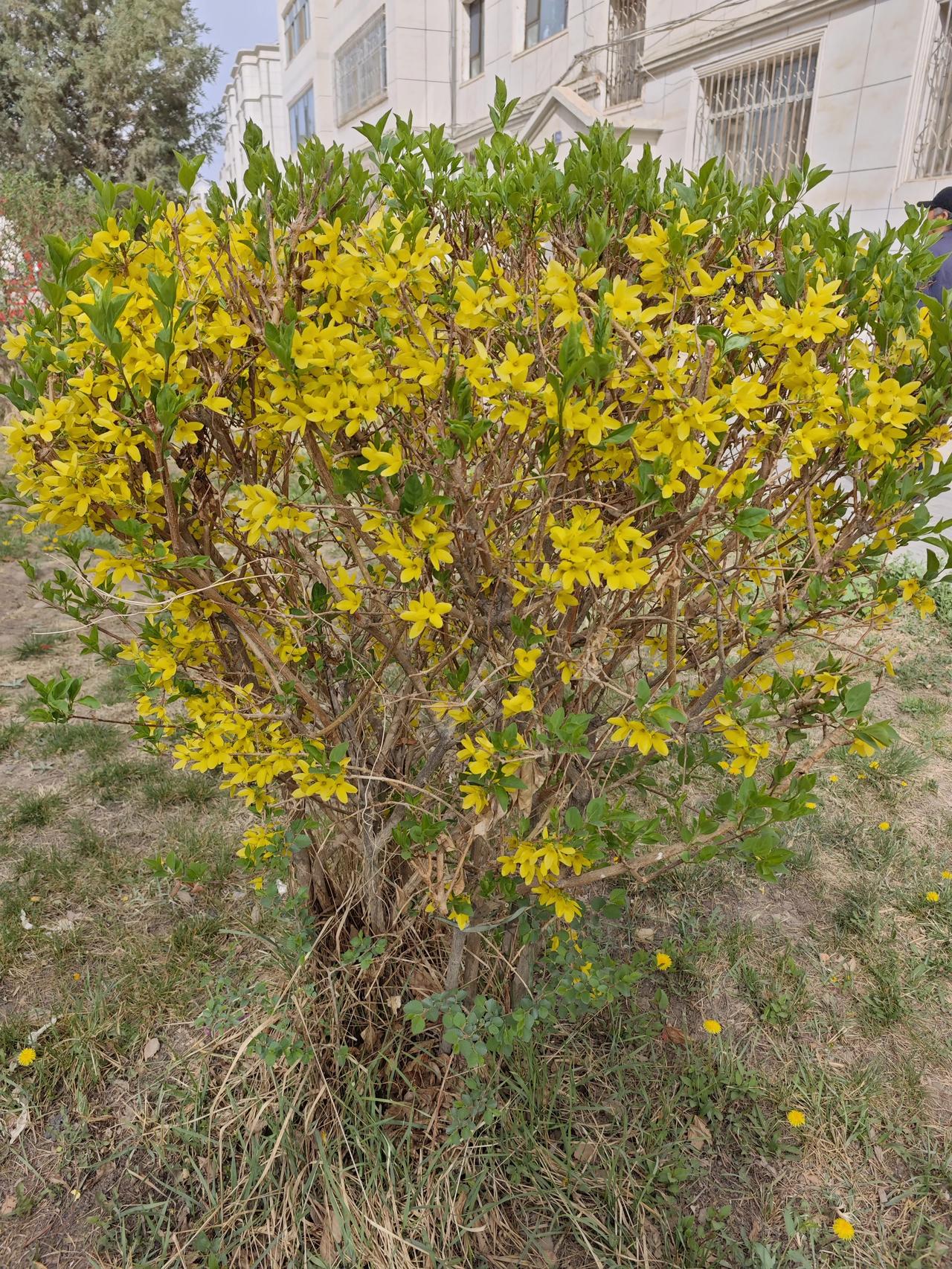 杯中烦恼消     横批：一醉方休