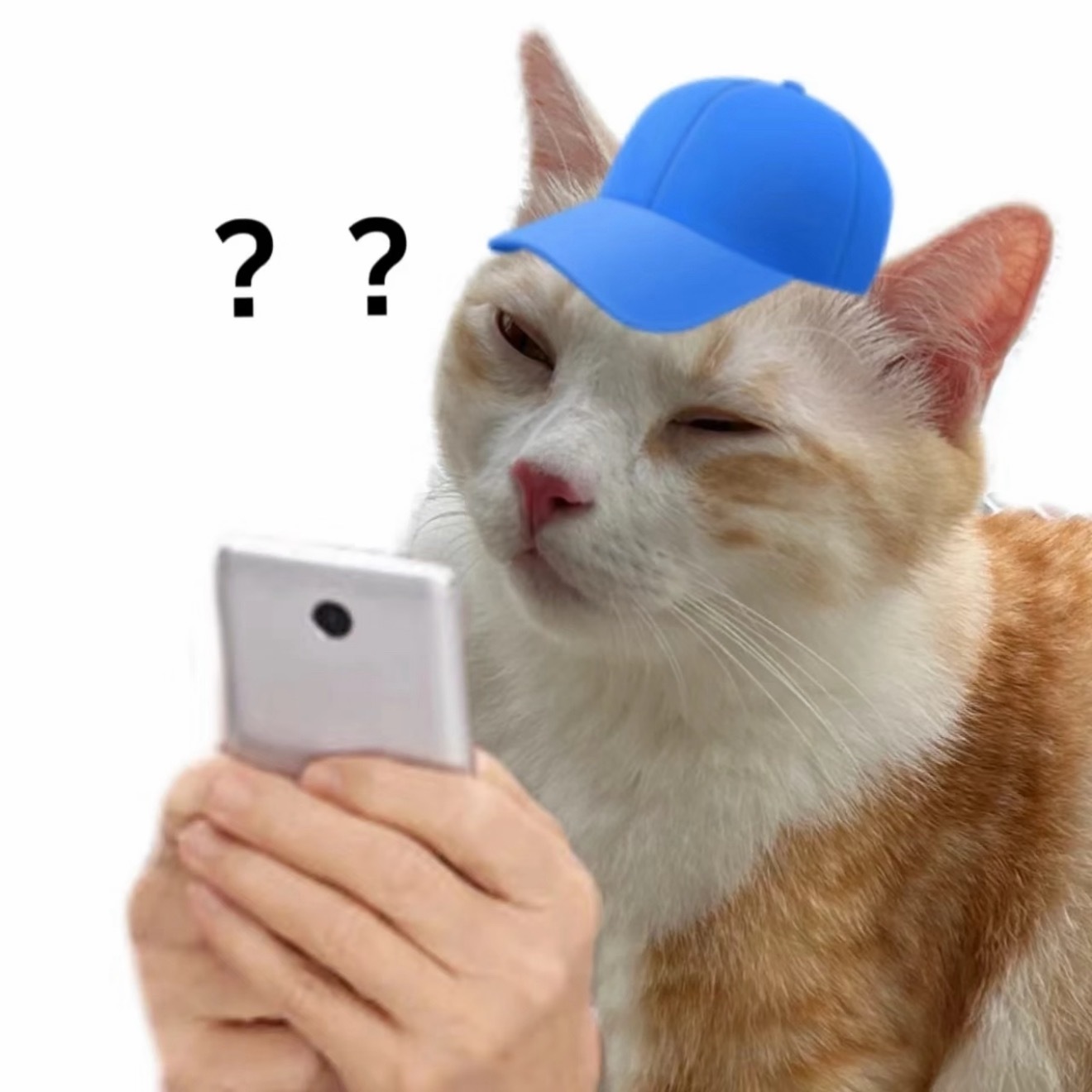 将微胖还给真正胖的人之前看到过90斤说自己微胖的，内心真的十分无语…我一直认为微