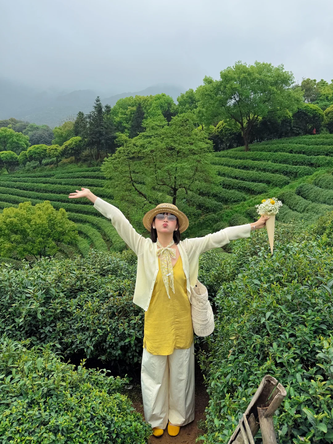 春天就要 上春山🍵⛰️