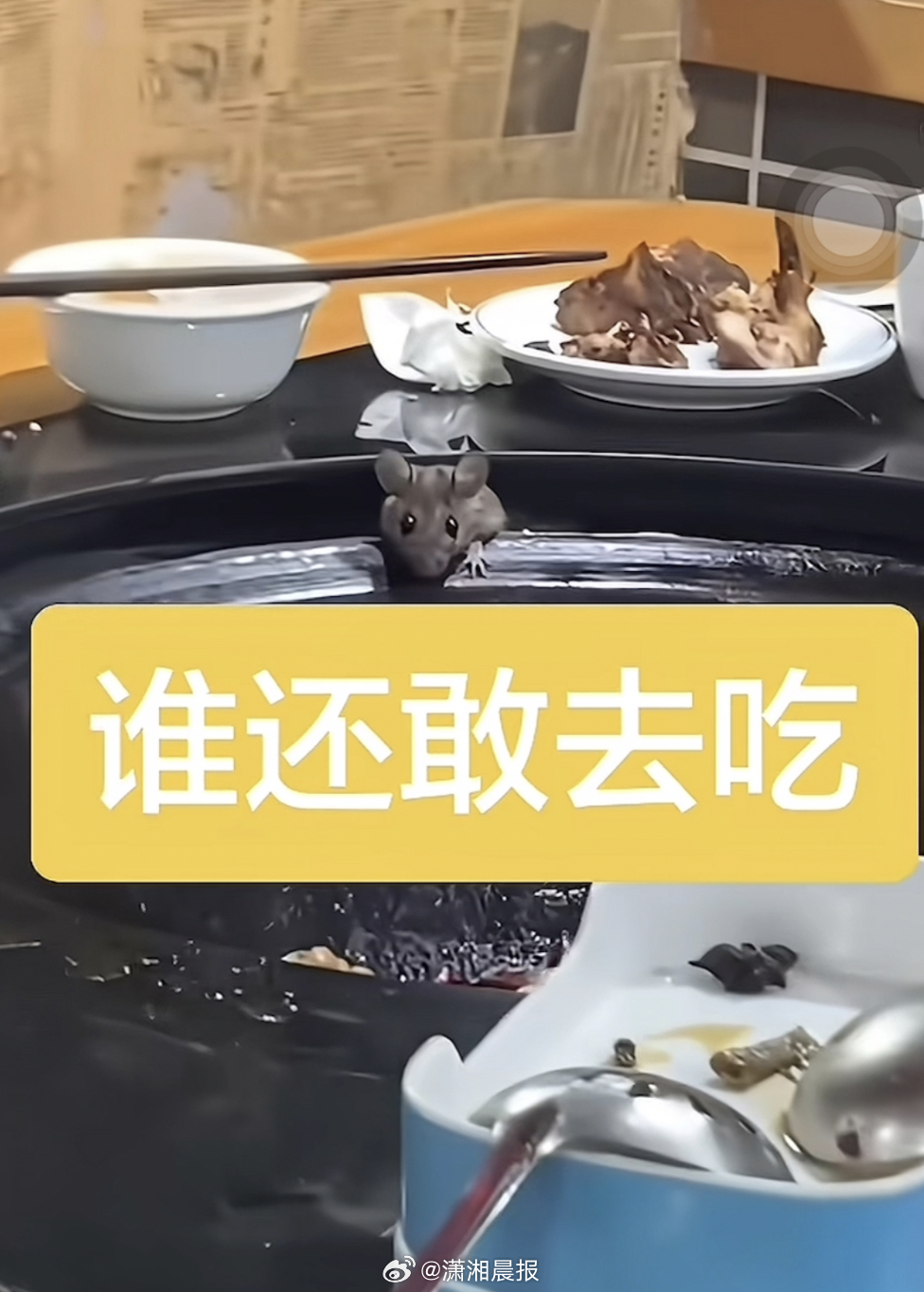 【洛阳一#餐馆被拍到餐桌上钻出鼠头#，市监：已要求其停业整改，知情人发声】#多方