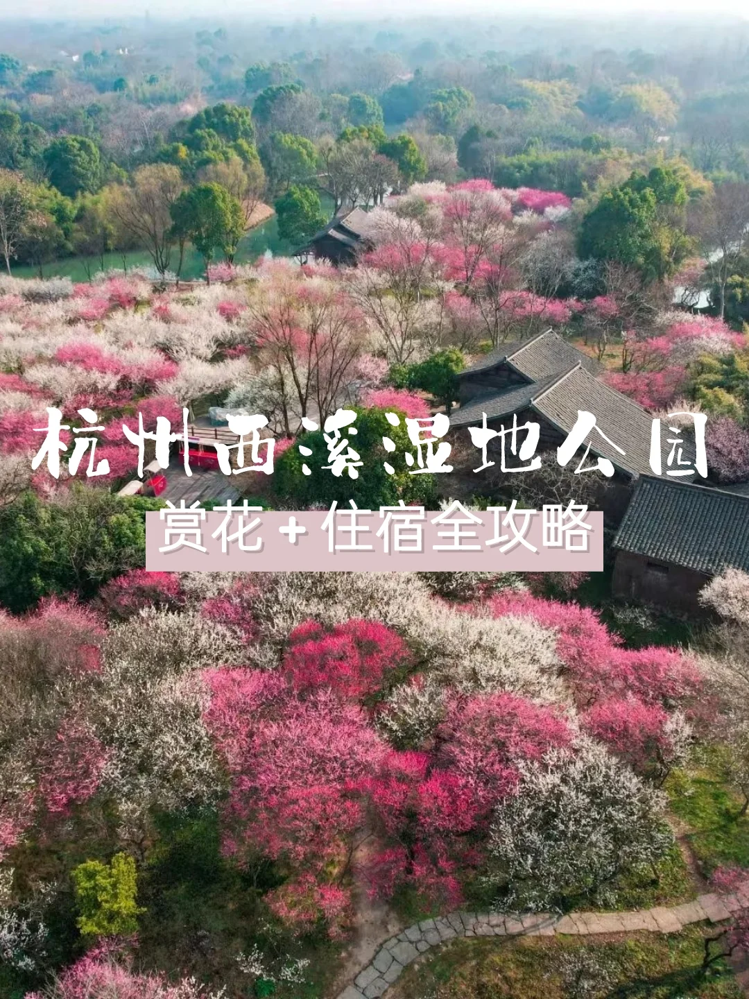 🌸杭州西溪湿地赏梅+住宿全攻略