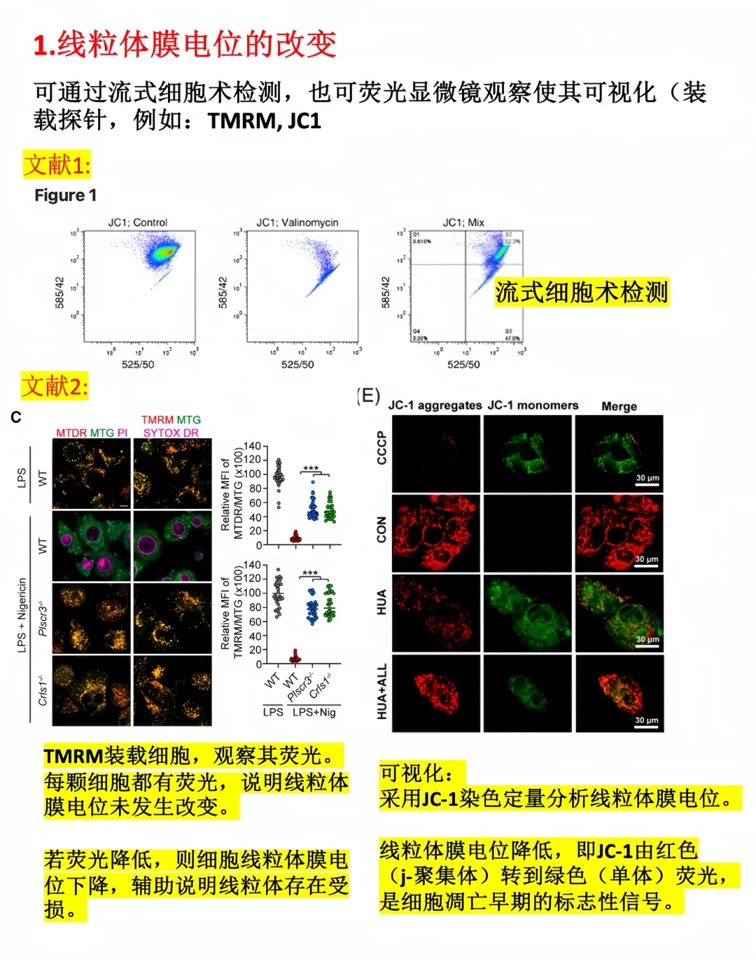 ❗️检测线粒体功能实验汇总（大多来源于文献）