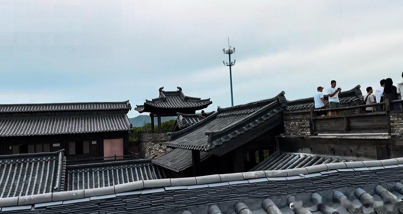 🍉《刺棠》男女主还是张凌赫、卢昱晓，预计9月开机 