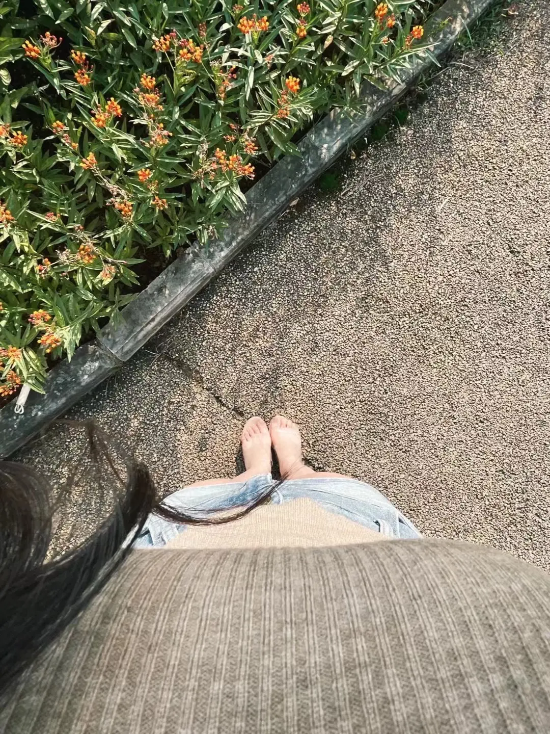 你想要的我都陪你 你想自由 那一路小心