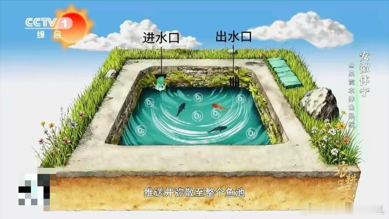 中国古人养鱼用流体力学 古代黑科技让现代人都惊叹！巧妙的水道布局形成天然环流，水