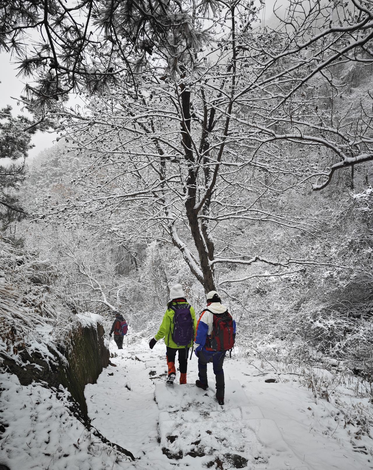 时间在无声中流淌，季节在春花秋月、夏雨冬雪中更迭。若我们始终珍重生命、向往梦想、