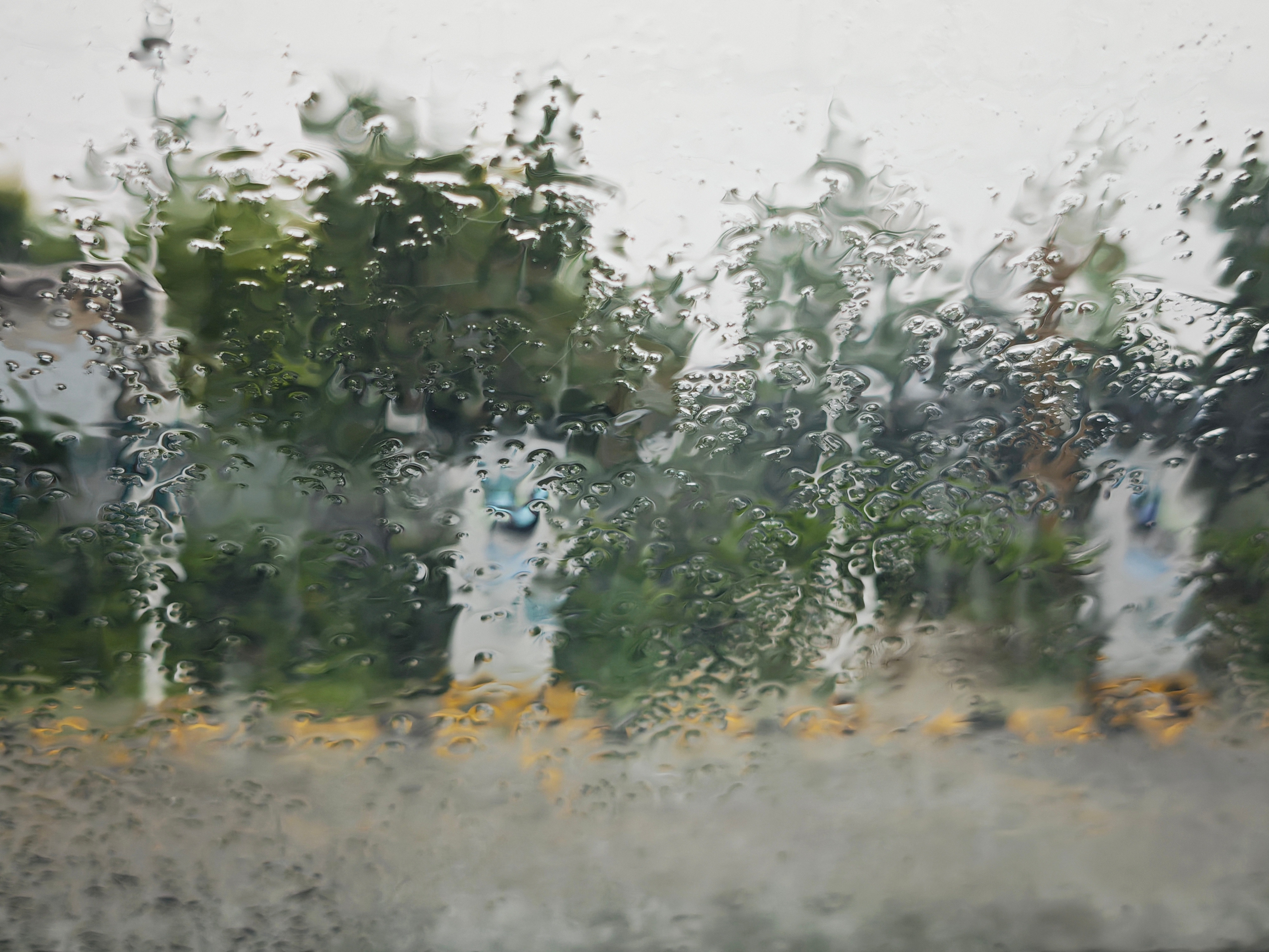 06月06日，星期六。一、慢就是快，稳就是赢。二、35℃的高温天气也快杀回来了。