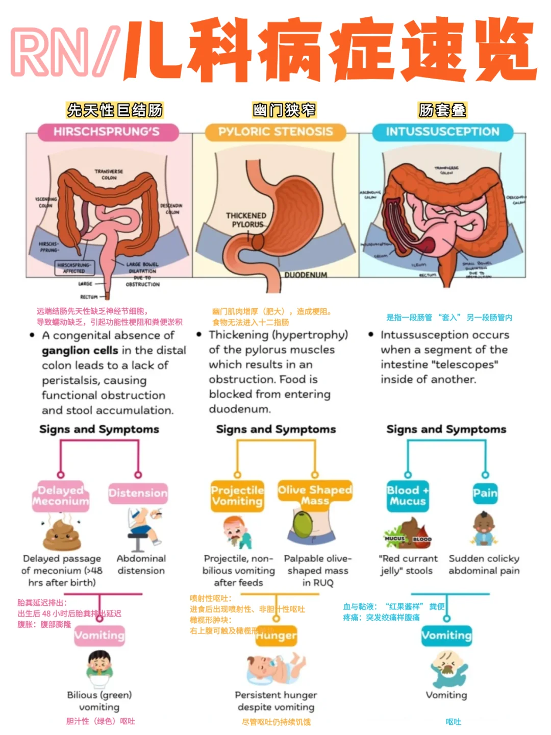 备考RN/儿科病症速览！！学！！内容