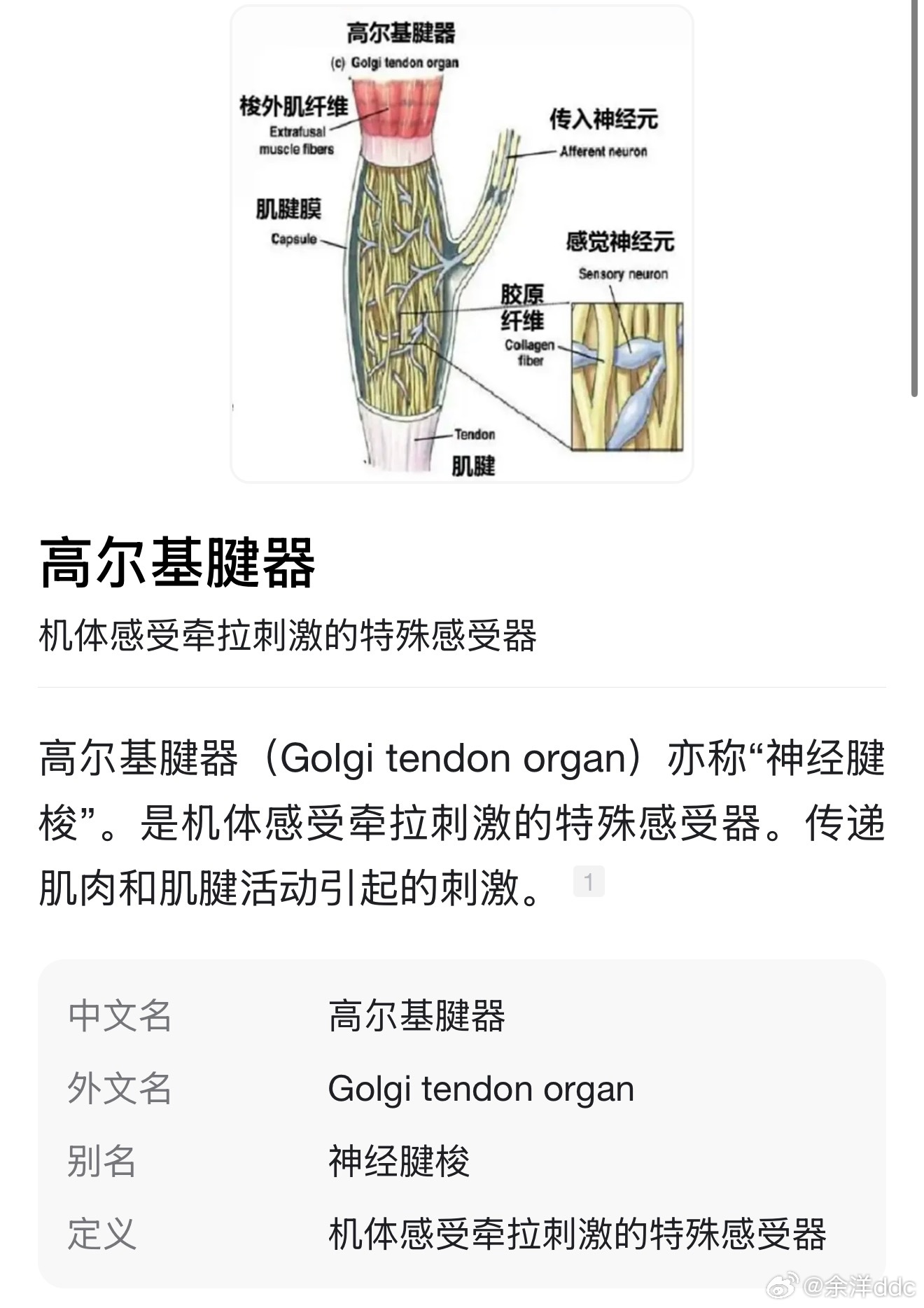 看到一个关于方向盘轻重的讨论，分享下我的观点，不考虑几何设定车型定位等等等只从“