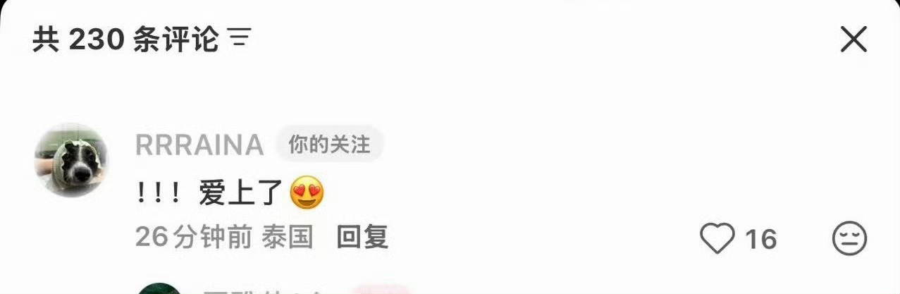 小希在泰国就多记录一下露儿 