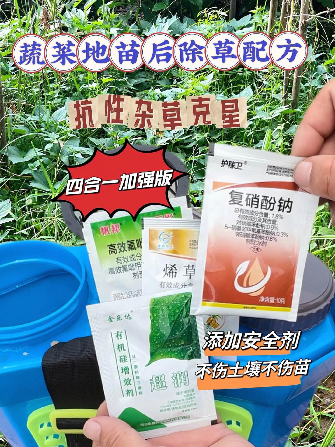 #蔬菜苗后除草剂 #除草不伤作物  蔬菜苗后专·用除草剂来啦！专为阔叶型蔬菜设计