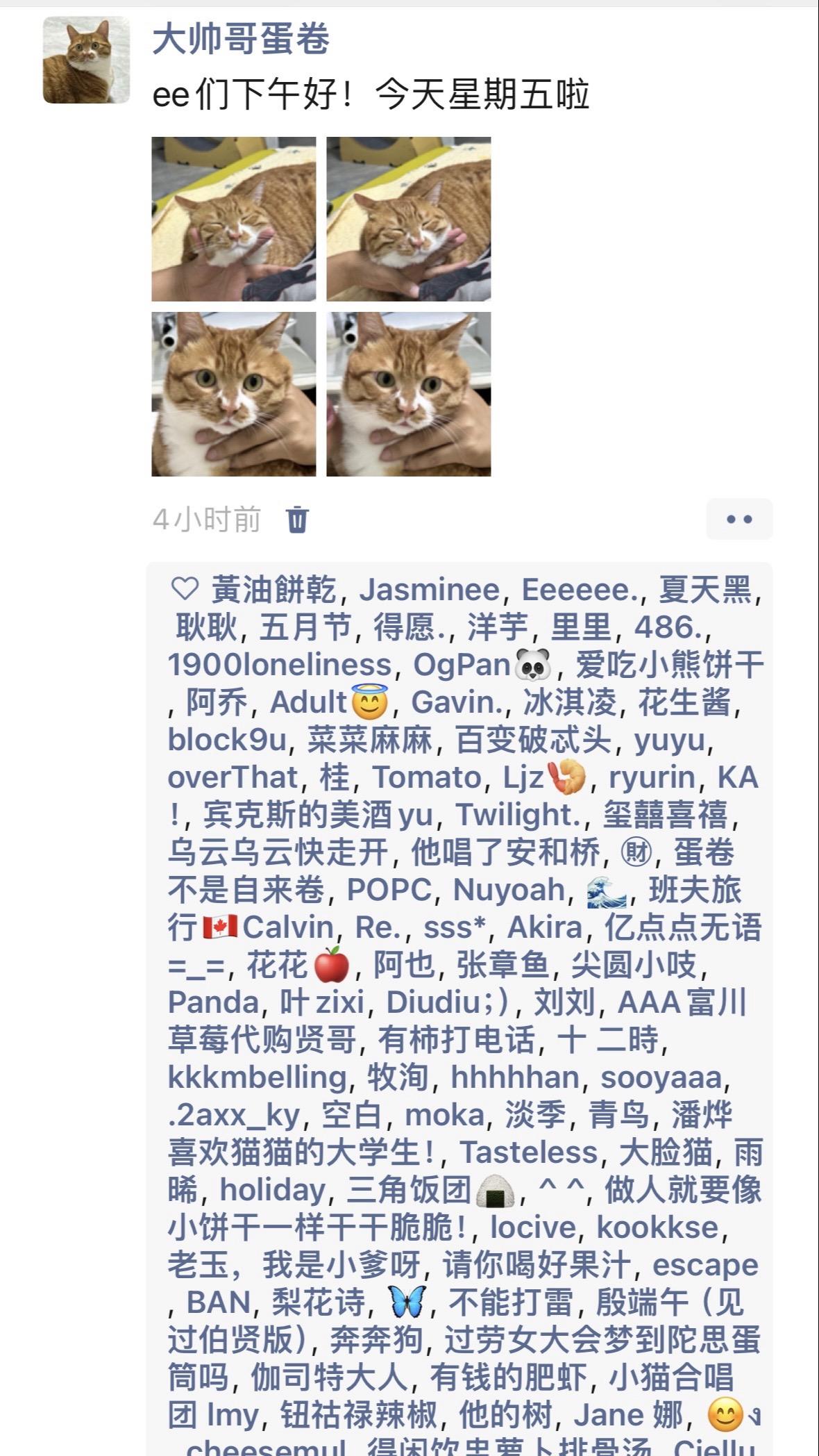 小猫每天都发些什么朋友圈。