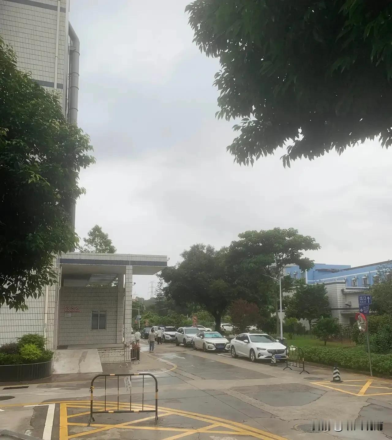 提前通知一下，大家好有个心理准备。今天8月20号，就正式进入末伏第七天了，而且今