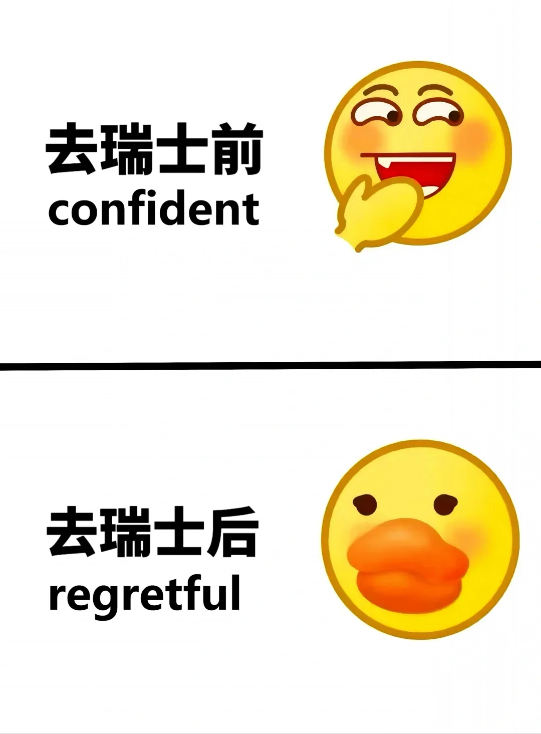 瑞士已回！崩溃了，想说一些有用的大实话