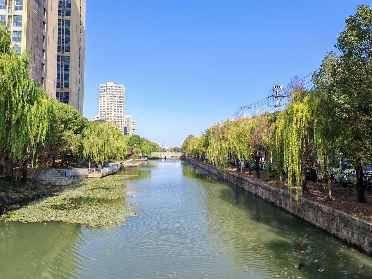 瑟瑟冬天
竟然能看见一抹绿色
小渠？小沟？小河？
对面钓鱼人
你可知晓？

走过