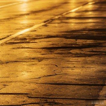 收起相机，把今日的光影妥帖收藏，愿梦里也有温柔的构图。 